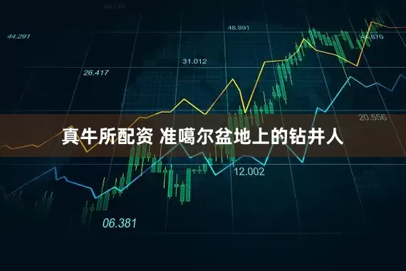 真牛所配资 准噶尔盆地上的钻井人
