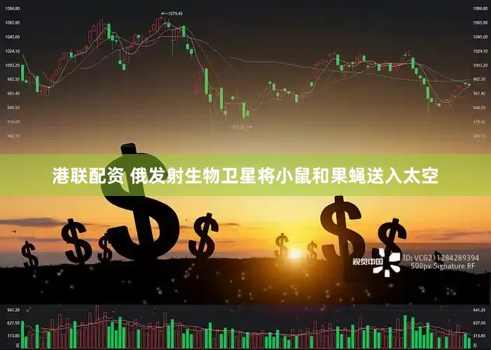 港联配资 俄发射生物卫星将小鼠和果蝇送入太空
