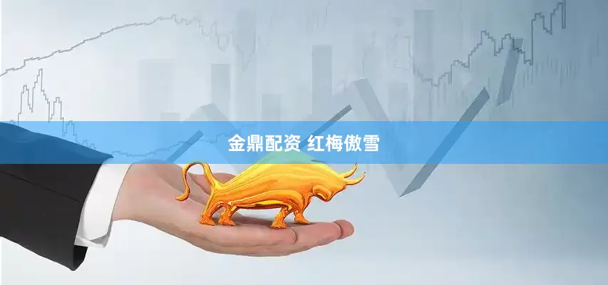 金鼎配资 红梅傲雪