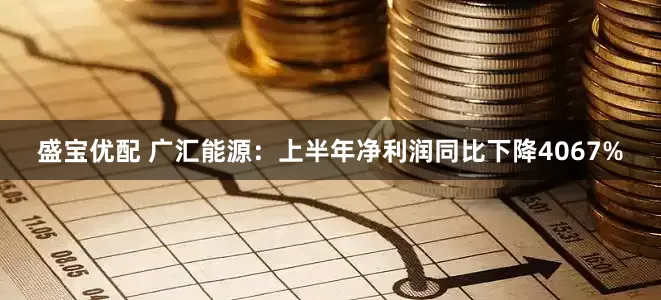 盛宝优配 广汇能源：上半年净利润同比下降4067%